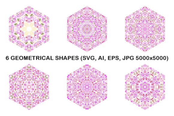 6 Floral Hexagon Graphics for Versatile Botanical Branding and Design