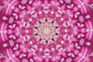Pink Floral Kaleidoscope in Design